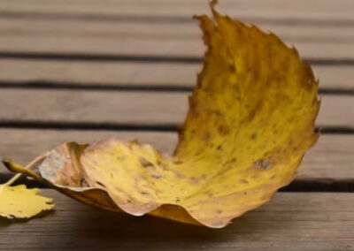 Otoño